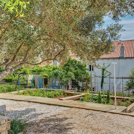 Apartment Dami Mali Losinj Exterior photo